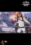 Hot Toys Black Widow 1/6th Scale Black Widow (Snow Suit Version) MMS601