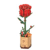 ROWOOD Red Rose TW042