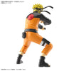 Bandai Entry Grade Uzumaki Naruto (Naruto Shippuden) (Plastic Model Kit)