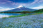 Epoch Jigsaw Puzzle: Blooming nemophila Fuji-Yamanashi 1000p (50 x 75cm)