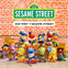 POP MART Sesame Street Trend Series (Random 1 Out of 12)