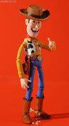 Kaiyodo Legacy of Revoltech SCI-FI Revoltech Woody