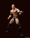 Bandai S.H. Figuarts The Rock