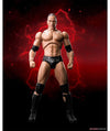 Bandai S.H. Figuarts The Rock