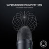 Razer Microphone Seiren V2 X USB Microphone: 25mm Condenser Microphone - Supercardioid Pickup Pattern - Digital Analogue Limiter - Mic Monitoring/Gain & Mute Buttons - Built-in Shock Absorber
