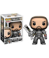 Funko Fallout 4 165 Paladin Danse Pop! Vinyl Figure