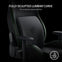 Razer Gaming Chair Support Lumbar Cushion: Fully-Sculpted Lumbar Curve - Memory Foam Padding - Black Velvet
