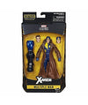 Marvel Legends Series X-Men Wave 3 6-inch Multiple Man