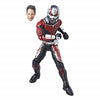 Marvel Legends Series Avengers Infinity War Wave 2 6-inch Ant Man