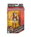 Mattel DC Comics Multiverse 6 Inch Justice League Wonder Woman