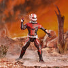 Marvel Legends Series Avengers Infinity War Wave 2 6-inch Ant Man