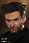 Hot Toys The Wolverine MMS220