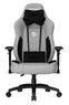 AndaSeat Gaming Chair T-Compact #AD19-01-GB-F Grey and Black