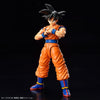 Bandai Figure-rise Standard Son Goku (NEW SPEC Ver.) Dragon Ball Z (Plastic Model)