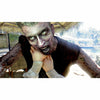 Dead Island Definitive Collection - Playstation 4 (US)