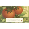 Story of Seasons: Pioneers of Olive Town - Playstation 4 (US)