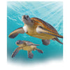 Takara Tomy Ania AS-20 Green Sea Turtle Family (Floating Ver.)