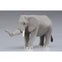 Takara Tomy Ania Animal Adventure AS-02 African Elephant