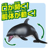 Takara Tomy Ania AS-19 Pacific White-sided Dolphin (Floating Ver.)