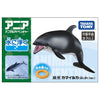 Takara Tomy Ania AS-19 Pacific White-sided Dolphin (Floating Ver.)