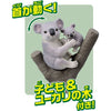 Takara Tomy Ania Koala