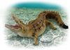 Takara Tomy Ania AS-32 Saltwater Crocodile