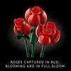 LEGO Icons 10328 Bouquet of Roses (822 Pieces)