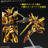 RG 1/144 Akatsuki Gundam (Oowashi Pack) (Gundam Model Kits)
