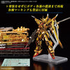 RG 1/144 Akatsuki Gundam (Oowashi Pack) (Gundam Model Kits)