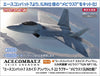 Hasegawa 1/48 Ace Combat 7 Skies Unknown F-22 Raptor Moebius 1 (IUN spec)