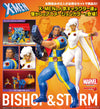 Kotobukiya ArtFX+ Bishop & Storm 2 Pack