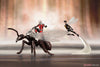 Kotobukiya ArtFX+ Astonishing Antman & Wasp