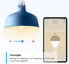 TP-Link Tapo Smart Bulb, Smart WiFi LED Light, E27, 8.7W, Works with Amazon Alexa(Echo and Echo Dot), Google Home, Dimmable Soft Warm White, No Hub Required (Tapo L510E) [Energy Class A+]