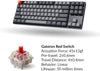 Keychron K8 Tenkeyless Wireless Mechanical Keyboard for Mac, White Backlight, Bluetooth, Multitasking, Type-C Wired Gaming Keyboard for Windows with Gateron (Red Switch) (K8J1)
