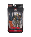 Marvel Legends Deadpool Series 6-inch Cable