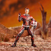 Marvel Legends Series Avengers Infinity War Wave 2 6-inch Ant Man
