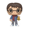 Funko Harry Potter 122 Holiday Harry Pop! Vinyl Figure