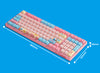 Akko 98K Doraemon Macaron 3098B Jelly Pink Switch Keyboard