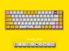 Akko 68K Dorami 3068 Orange Switch Keyboard