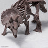 Bandai Imaginary Skeleton 1/32 Triceratops (Plastic Model Kit)