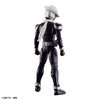 Bandai Figure-rise Standard Kamen Rider Skull (Plastic Model)