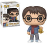 Funko Harry Potter 122 Holiday Harry Pop! Vinyl Figure