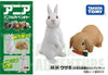 Takara Tomy Ania AS-34 Rabbit (Japanese White Rabbit & Lop-Eared)