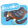 Takara Tomy Ania AS-20 Green Sea Turtle Family (Floating Ver.)