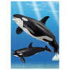 Takara Tomy Ania AL-08 Killer Whale Family (Floating Ver.)