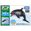 Takara Tomy Ania AS-19 Pacific White-sided Dolphin (Floating Ver.)