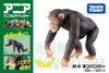 Takara Tomy Ania AS-14 Common Chimpanzee